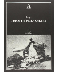 I disastri della guerra