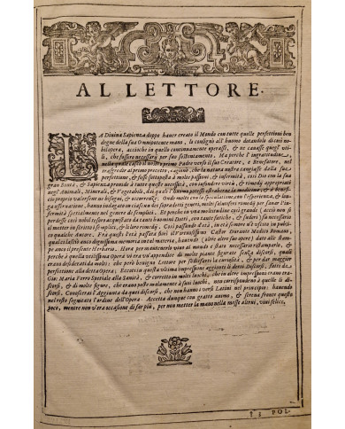 Herbario novo di Castore Durante - 1667