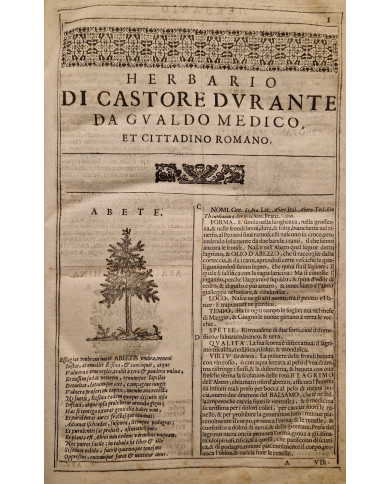 Herbario novo di Castore Durante - 1667