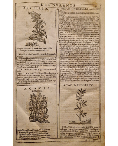 Herbario novo di Castore Durante - 1667