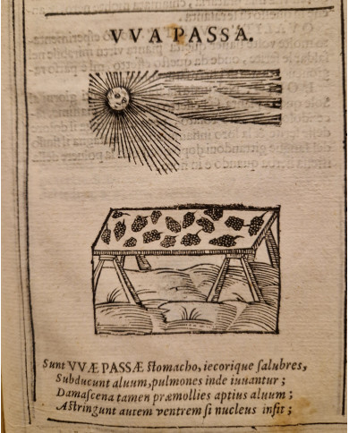 Herbario novo di Castore Durante - 1667