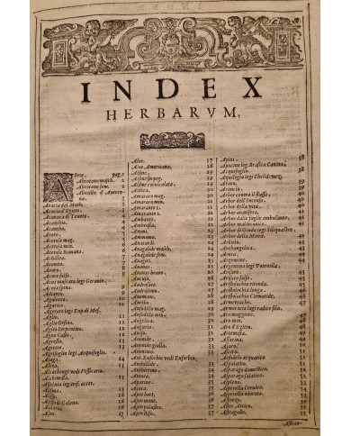 Herbario novo di Castore Durante - 1667