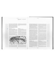 La Galleria delle Carte Geografiche in Vaticano. The Gallery of Maps in the Vatican. [Terza Edizione]