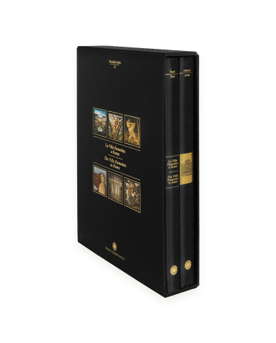 La Villa Farnesina a Roma