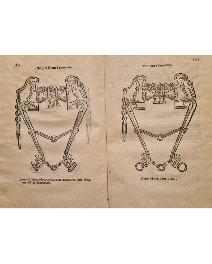 Ordini di cavalcare - 1620