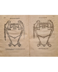 Ortografia moderna italiana - 1796