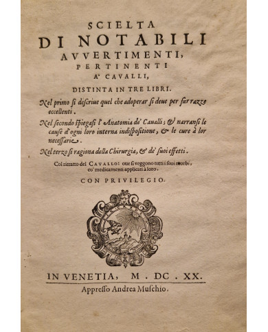 Ordini di cavalcare - 1620