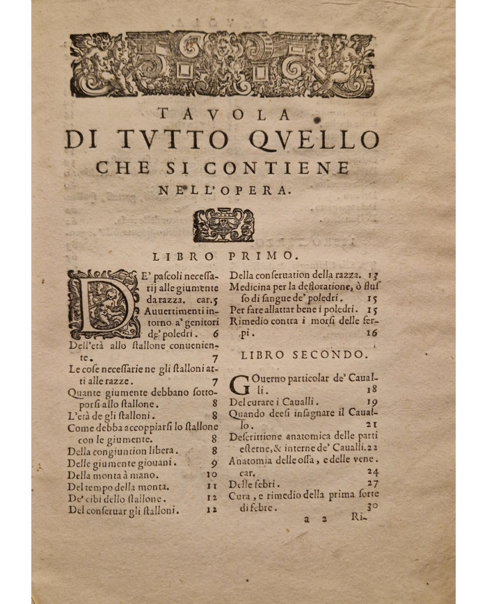 Ordini di cavalcare - 1620