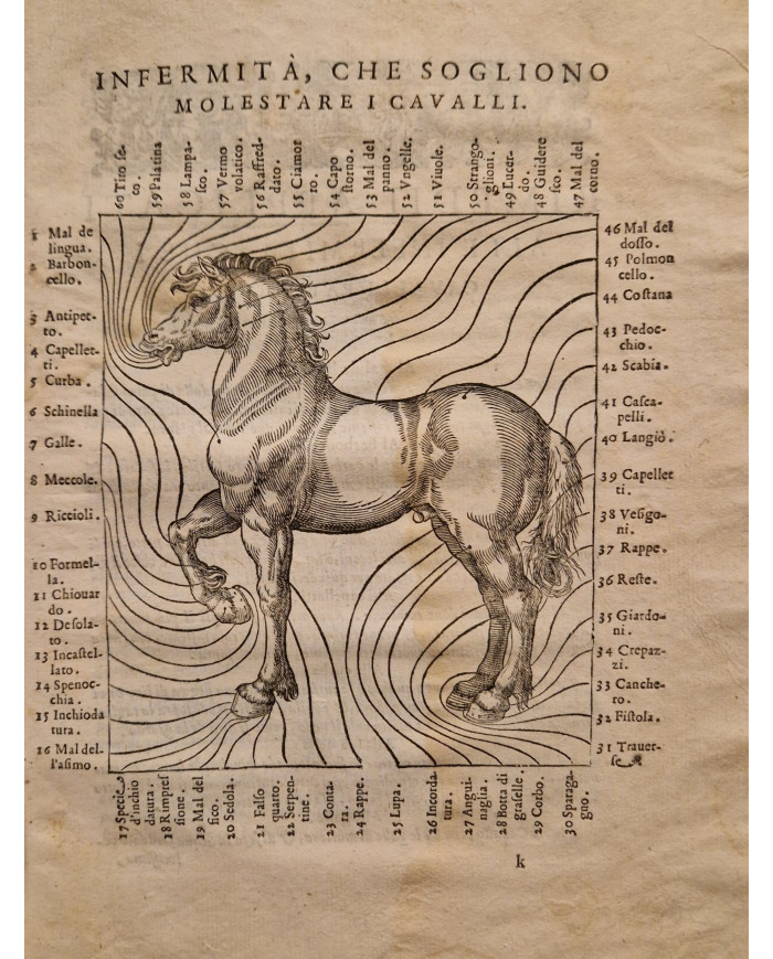 Ordini di cavalcare - 1620