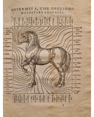 Ordini di cavalcare - 1620