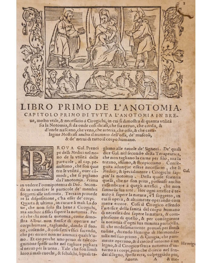 Prattica universale in cirugia dell'eccellente m. Giovanni di Vigo - 1560