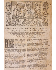 Prattica universale in cirugia dell'eccellente m. Giovanni di Vigo - 1560