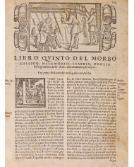 Prattica universale in cirugia dell'eccellente m. Giovanni di Vigo - 1560