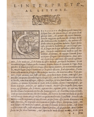 Prattica universale in cirugia dell'eccellente m. Giovanni di Vigo - 1560