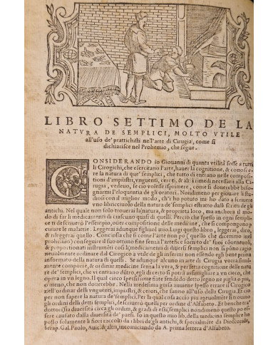 Prattica universale in cirugia dell'eccellente m. Giovanni di Vigo - 1560