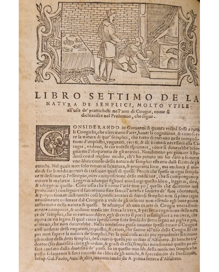 Prattica universale in cirugia dell'eccellente m. Giovanni di Vigo - 1560
