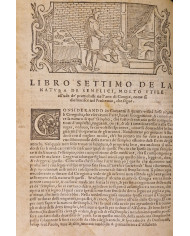 Prattica universale in cirugia dell'eccellente m. Giovanni di Vigo - 1560