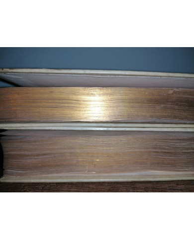 La Gerusalemme liberata di Torquato Tasso - 1828