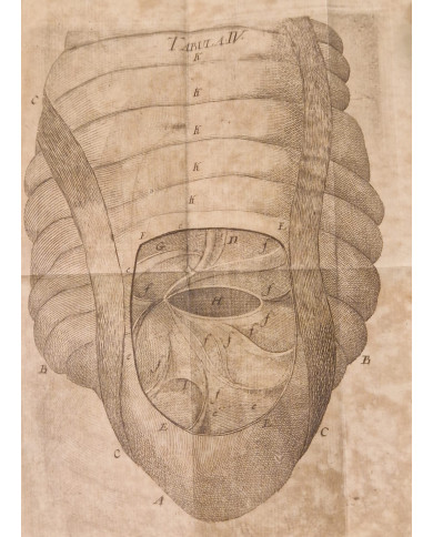 Rationis medendi - 1773