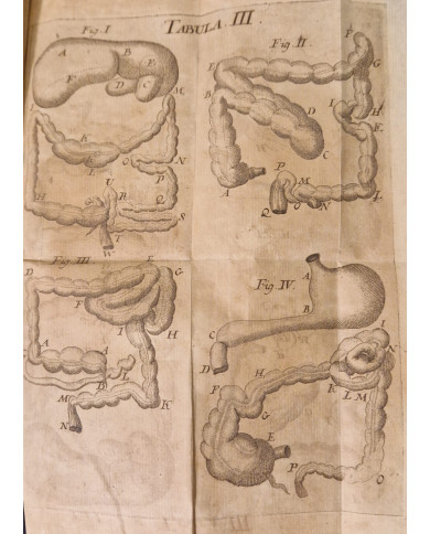 Rationis medendi - 1773