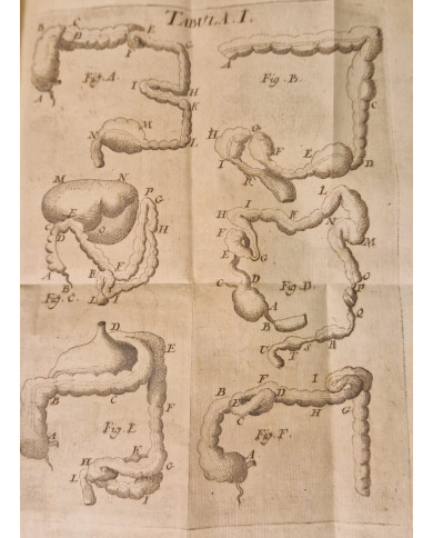 Rationis medendi - 1773