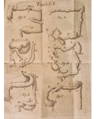 Rationis medendi - 1773