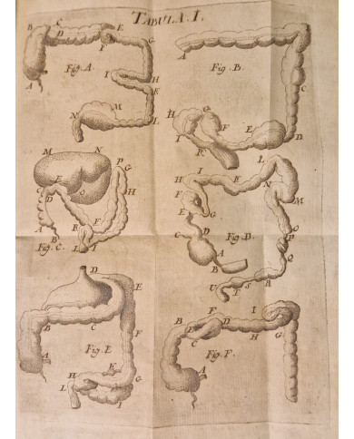 Rationis medendi - 1773