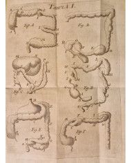 Rationis medendi - 1773