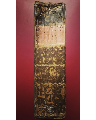 Trattato della pittura di Lionardo da Vinci - 1804