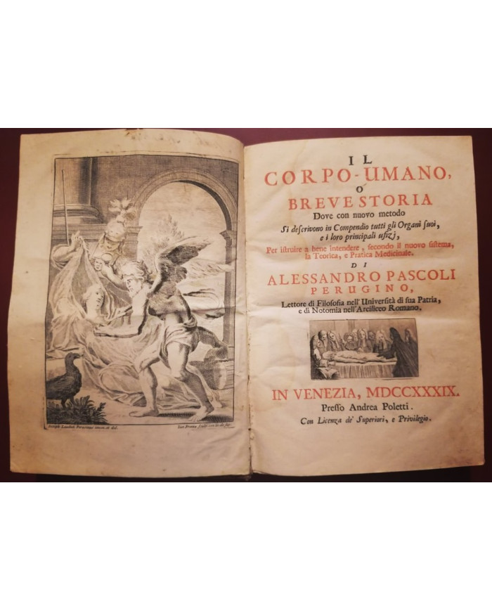 Il corpo-umano, o Breve storia dove con nuovo metodo si descrivono in compendio tutti gli organi suoi - 1739