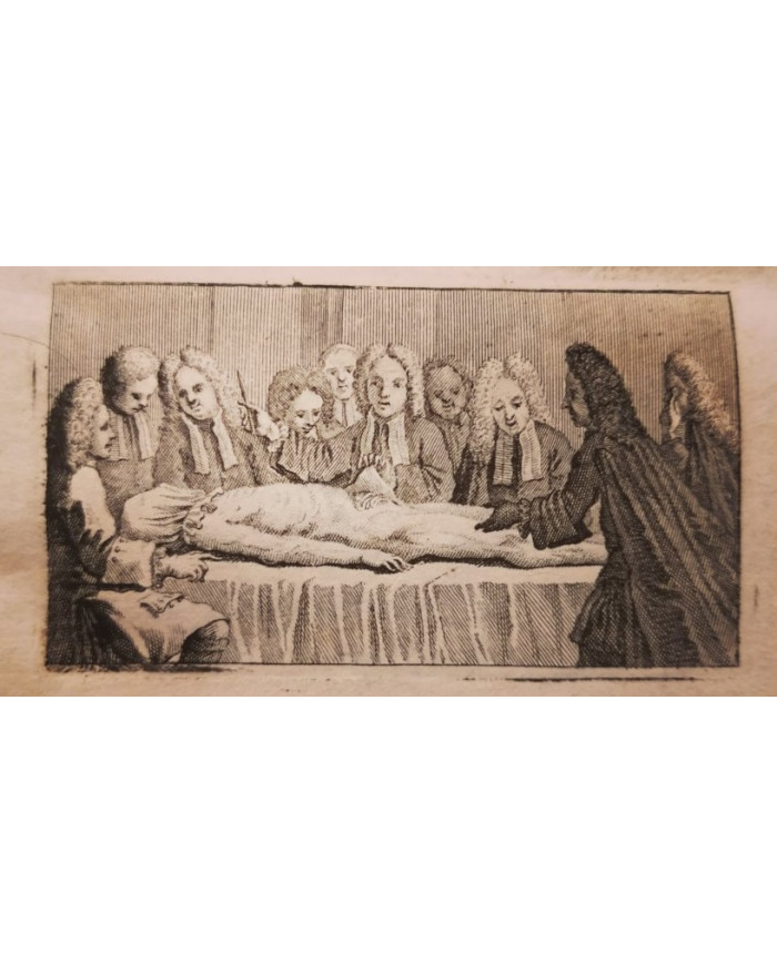 Il corpo-umano, o Breve storia dove con nuovo metodo si descrivono in compendio tutti gli organi suoi - 1739