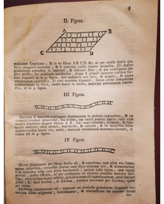 Il corpo-umano, o Breve storia dove con nuovo metodo si descrivono in compendio tutti gli organi suoi - 1739