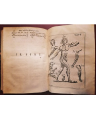 Il corpo-umano, o Breve storia dove con nuovo metodo si descrivono in compendio tutti gli organi suoi - 1739