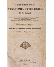 Compendio d'anatomia patologica di G. Andral - 1841