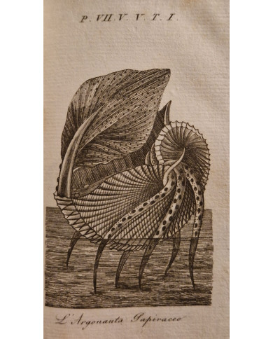 Le opere di Buffon, 8 voll. - 1844