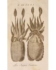 Le opere di Buffon, 8 voll. - 1844